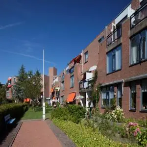 Image 12 of 16
