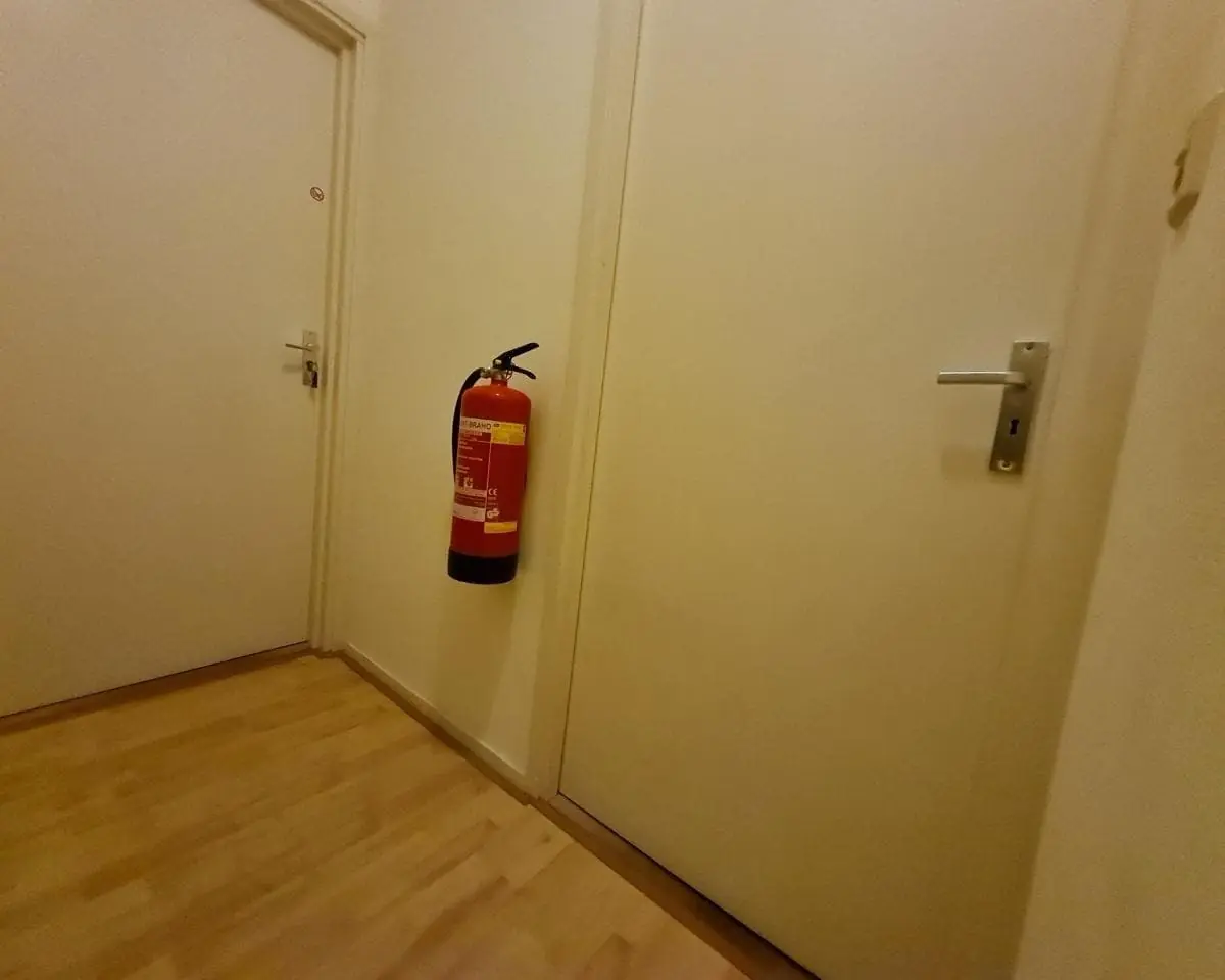 Image 6 sur 9