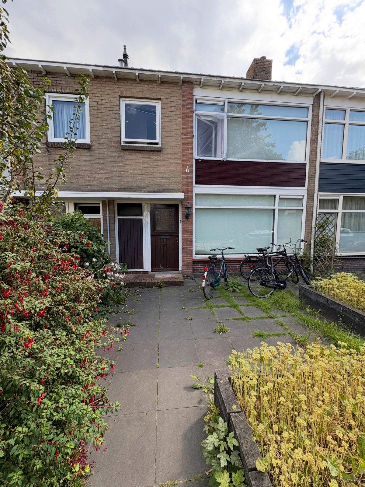 Afbeelding 1 van 14