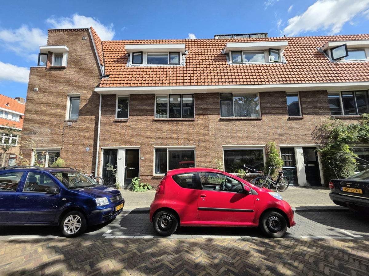 Afbeelding 1 van 19