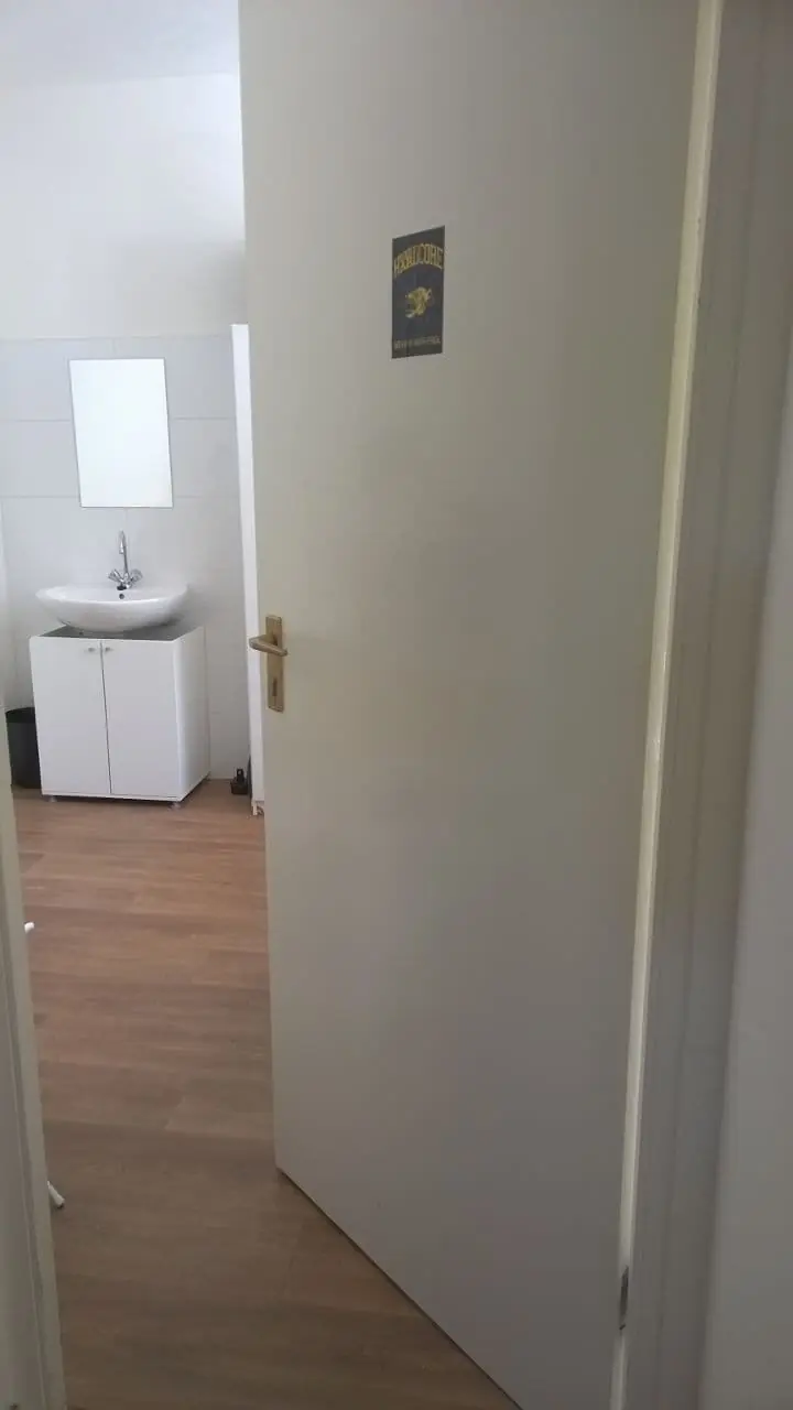 Afbeelding 6 van 6