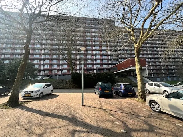 Image 1 sur 3
