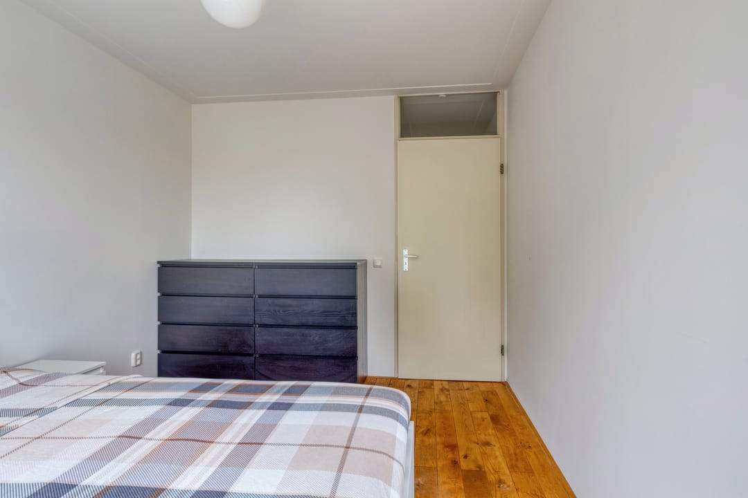 Imagen 17 de 25