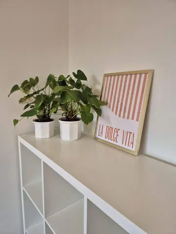 Gemeubileerd 2-kamerappartement Zeelsterstraat 143-A, Eindhoven - Te Huur