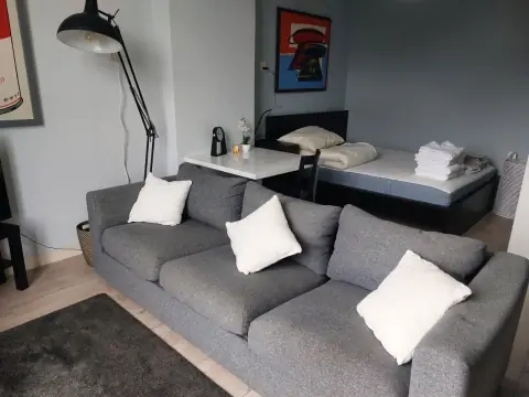Gemeubileerde Kamer St. Annastraat, Nijmegen - Te Huur