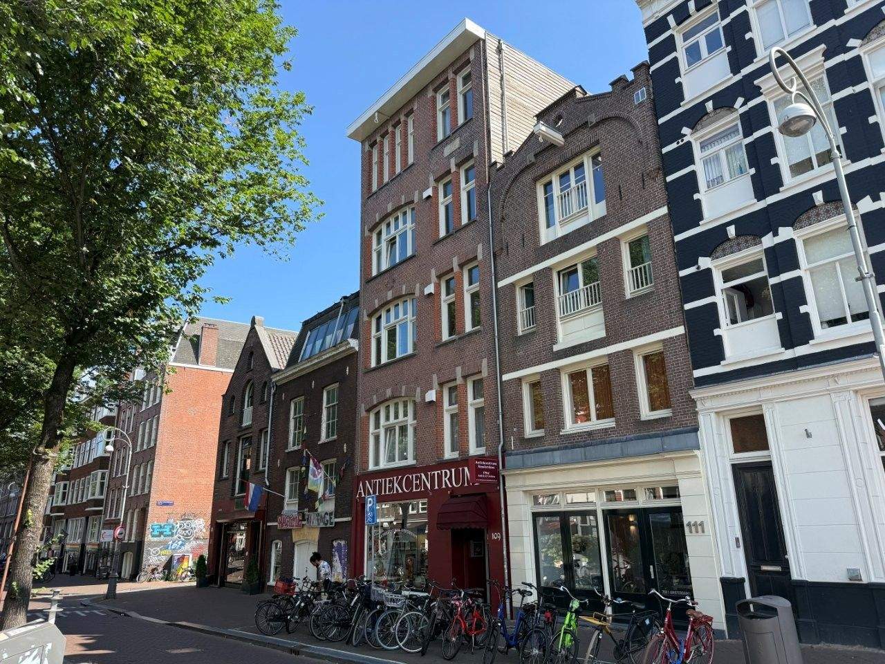 Afbeelding 1 van 12