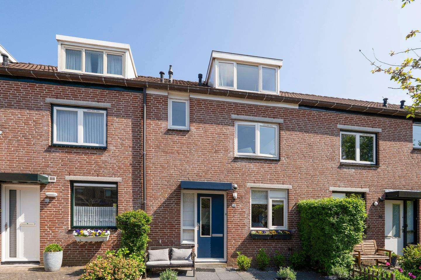 Afbeelding 1 van 12