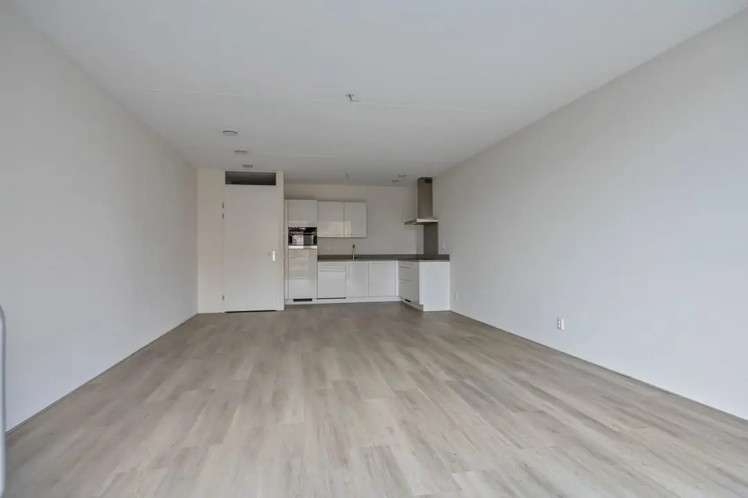 Image 7 of 25