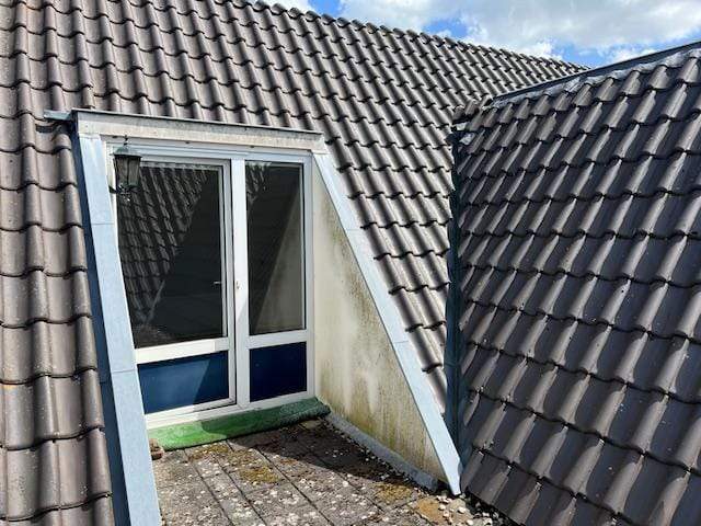 Image 14 of 19