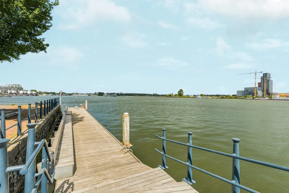 Afbeelding 19 van 20