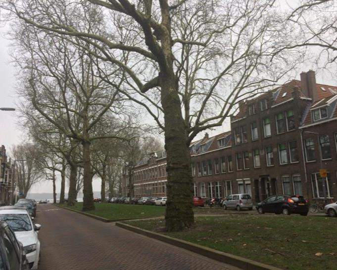 Afbeelding 1 van 9