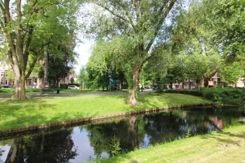Appartement Koningslaan, Utrecht - Te huur