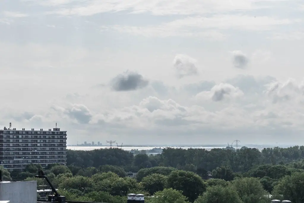 Afbeelding 18 van 26