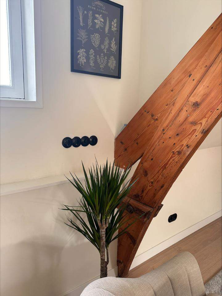 Image 3 of 7