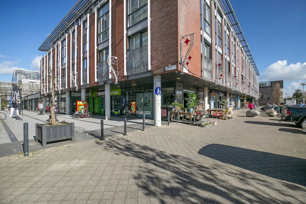 Image 24 of 26