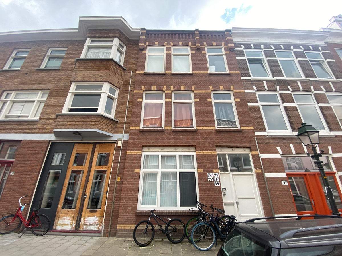 Afbeelding 1 van 1