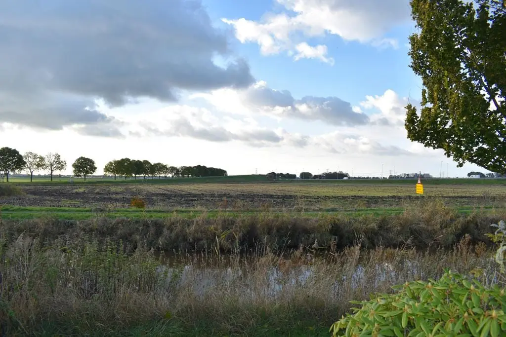 Image 6 sur 26