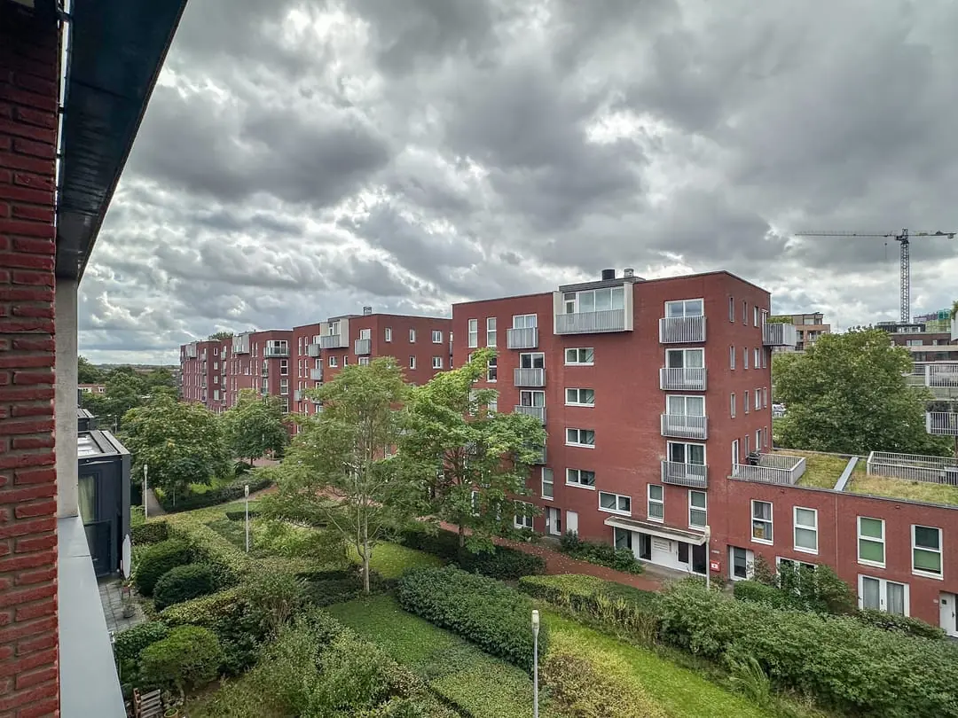 Image 13 of 41