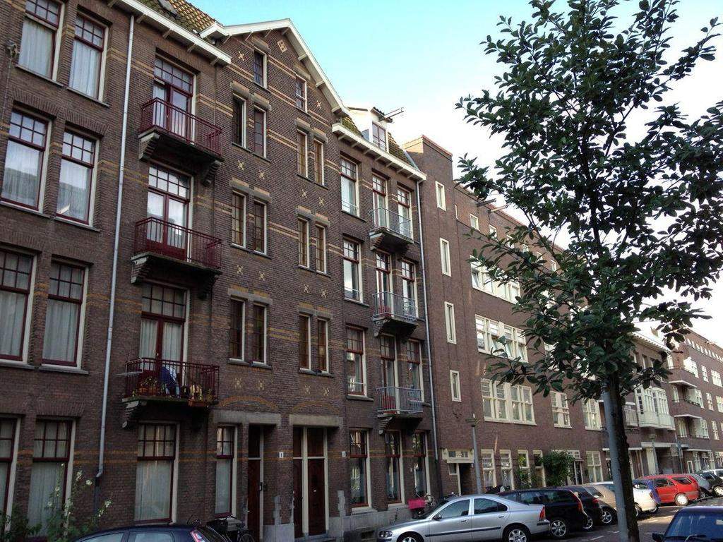 Afbeelding 1 van 13