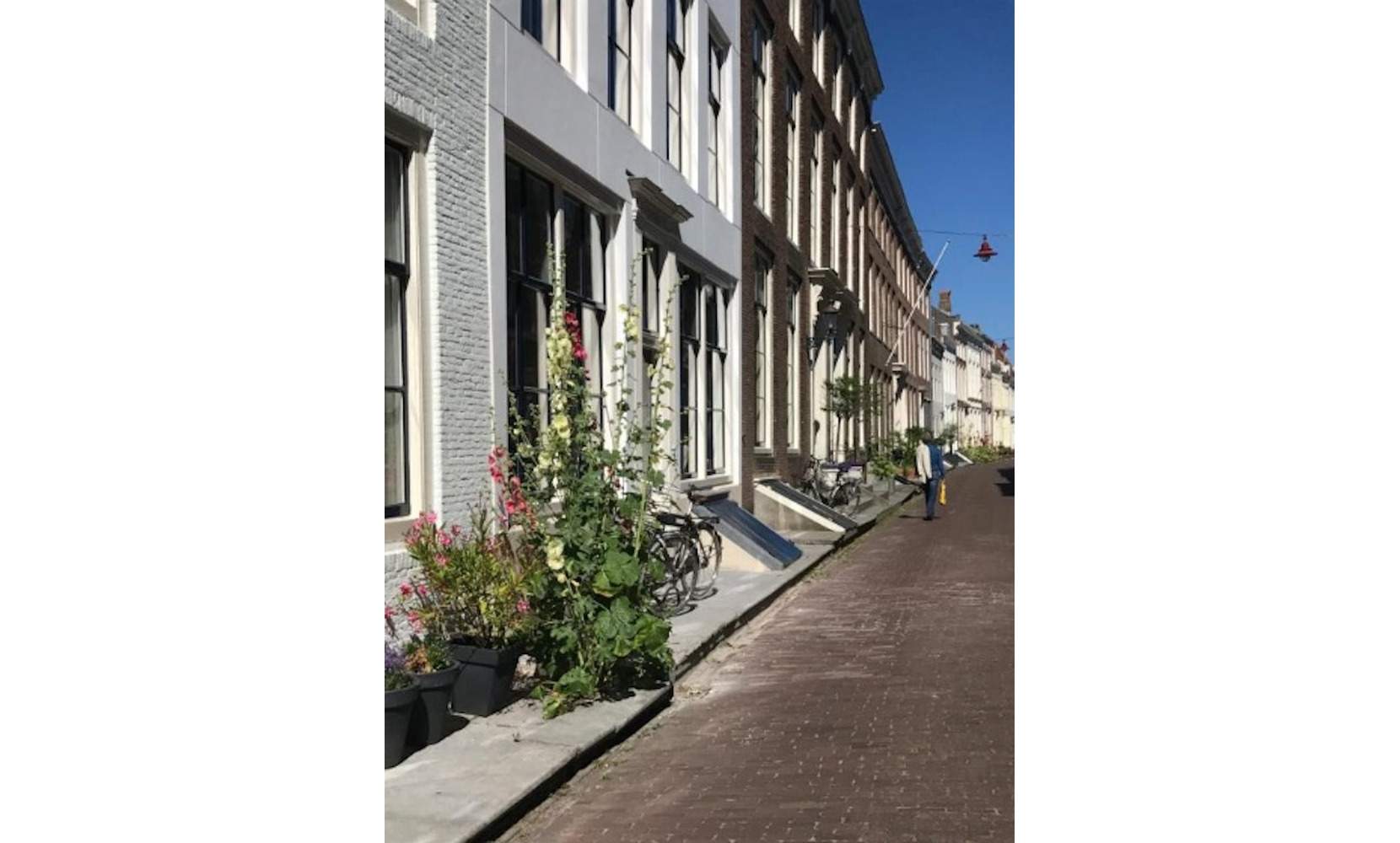 Afbeelding 1 van 5
