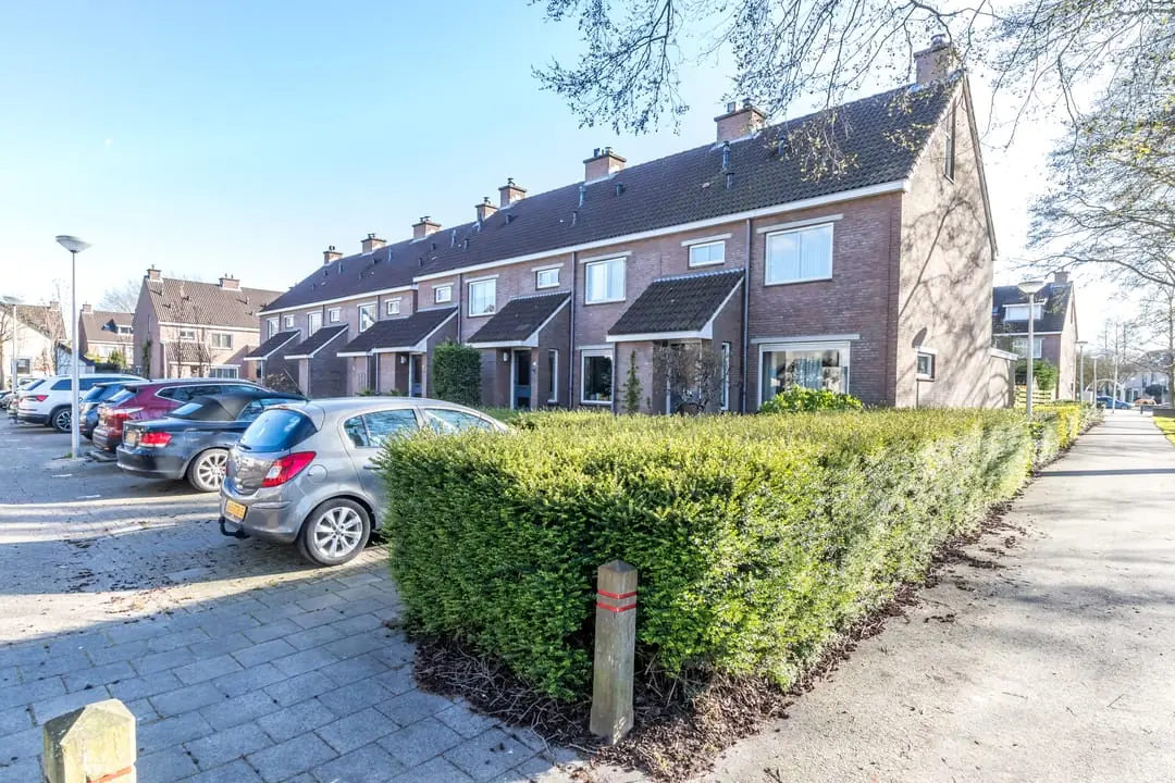 Afbeelding 1 van 5