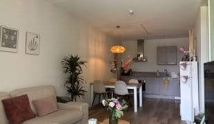 Bild 3 von 6