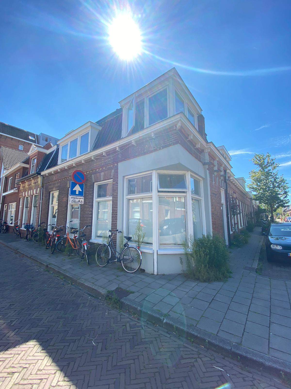 Afbeelding 1 van 10