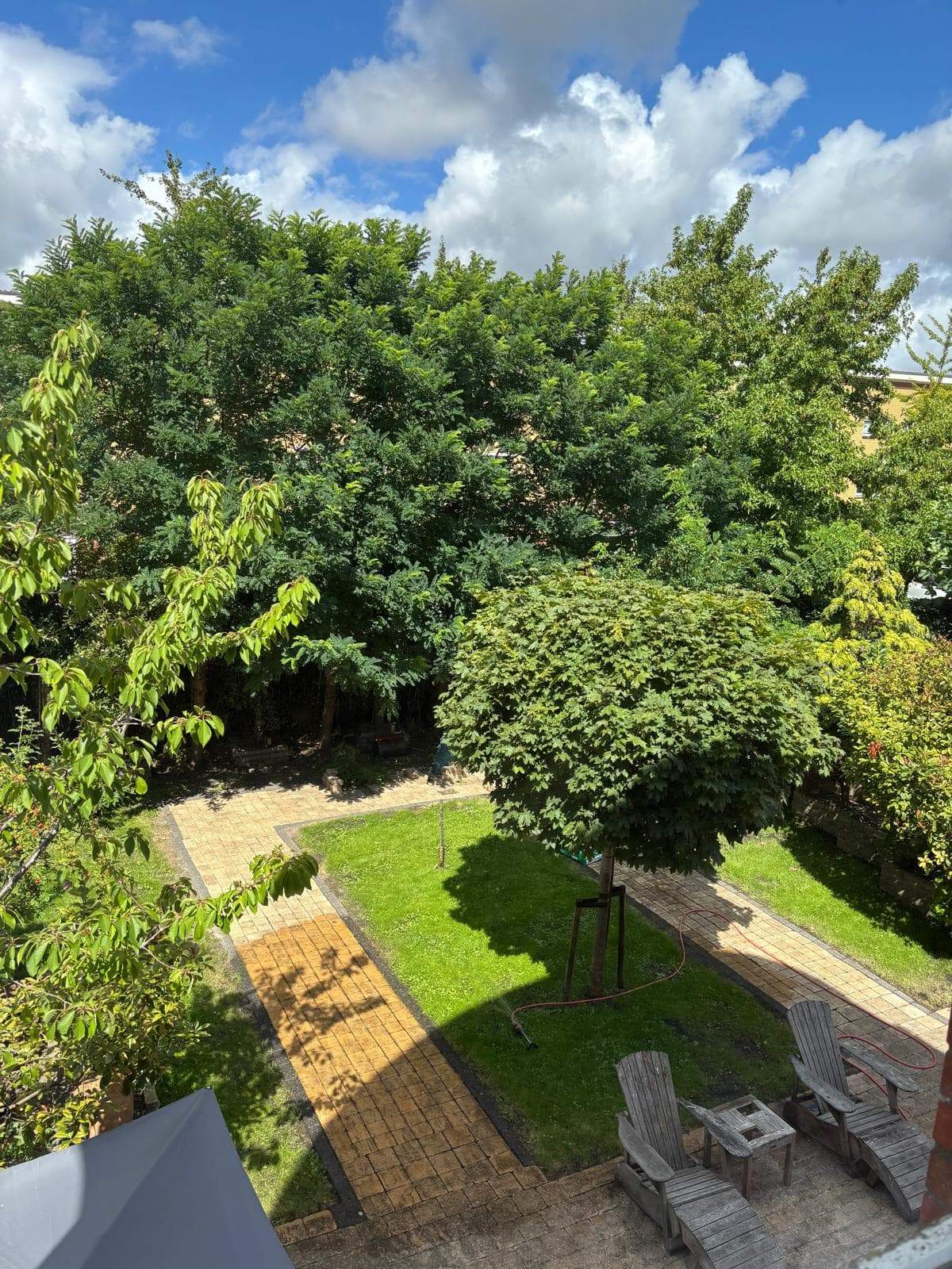 Image 6 of 6