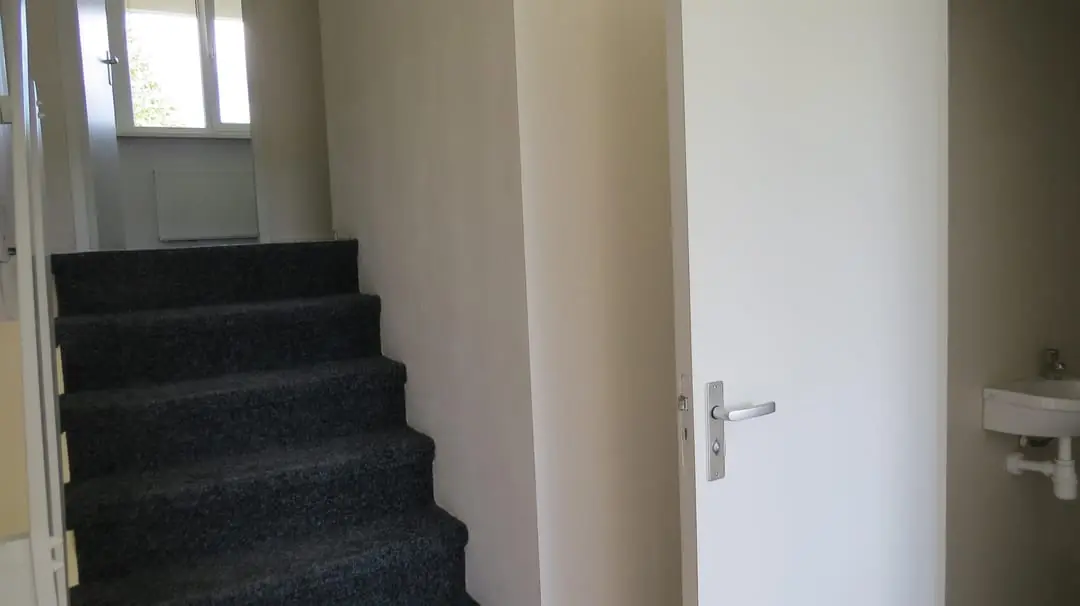 Image 11 of 17