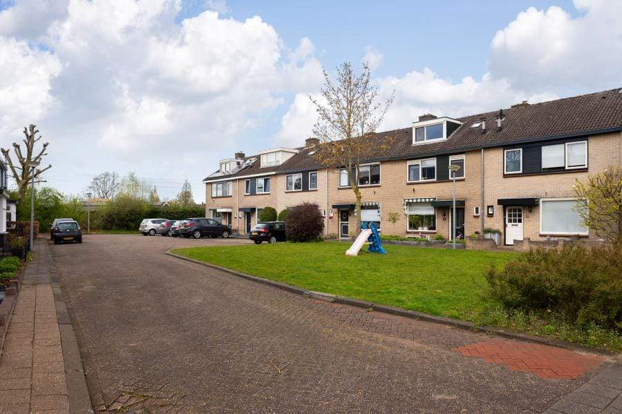 Afbeelding 3 van 12