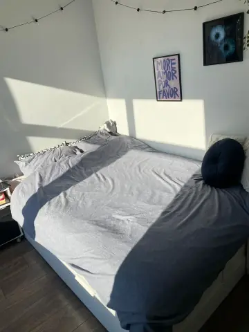 Kamer Kamperfoeliestraat, Den Haag - Te huur