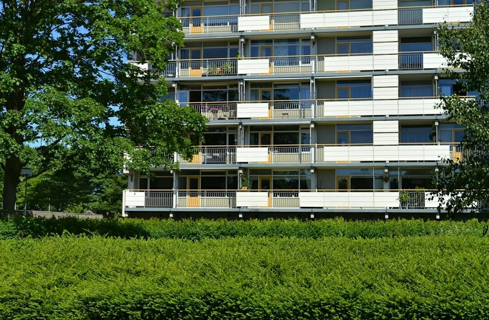 Bild 2 von 29