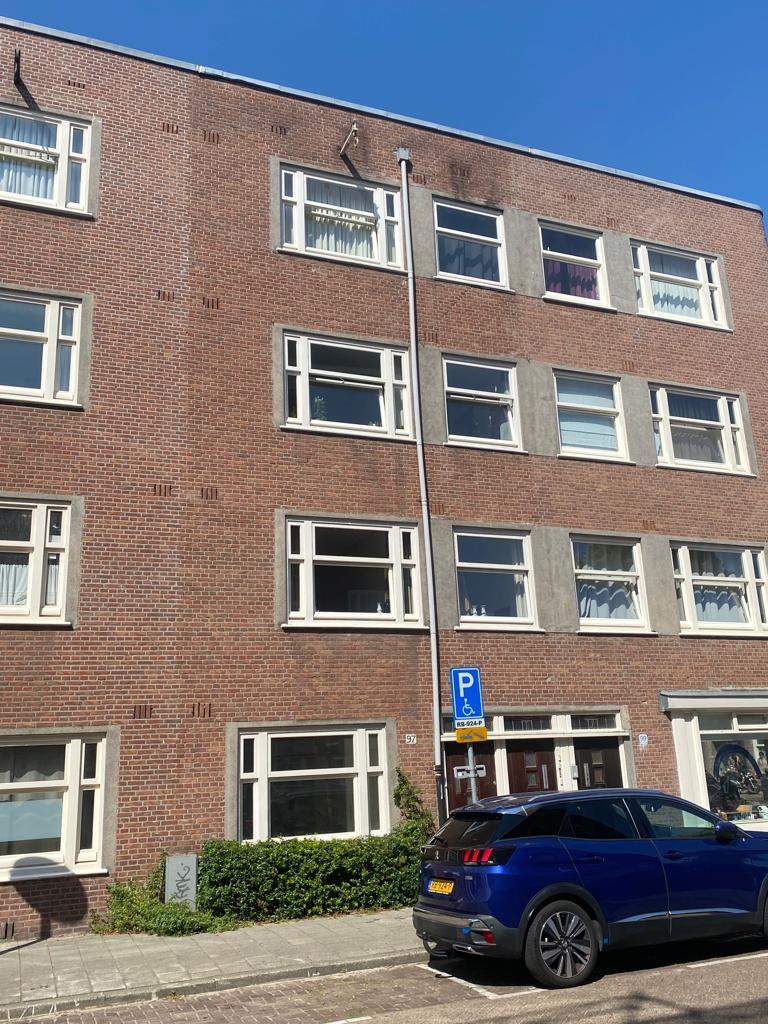 Afbeelding 1 van 10