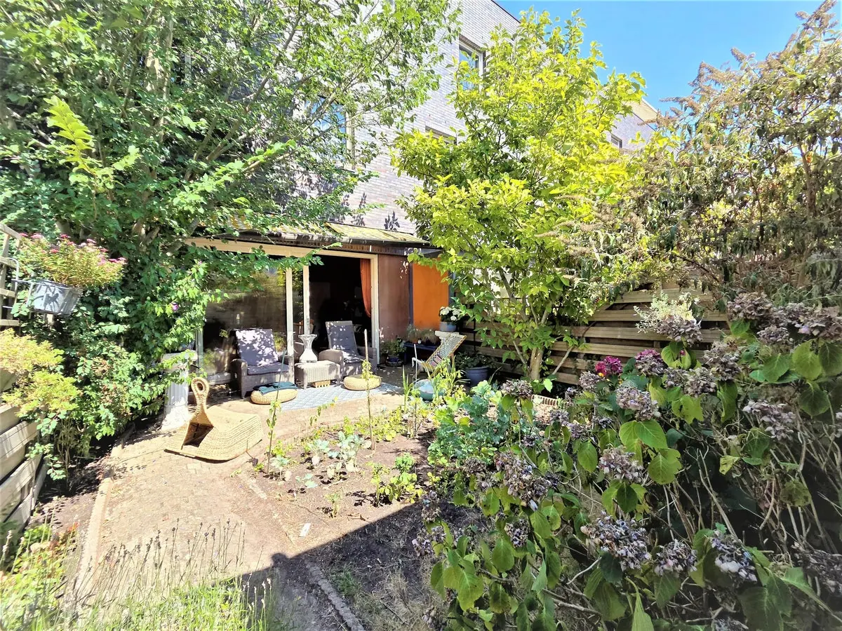 Image 8 of 37