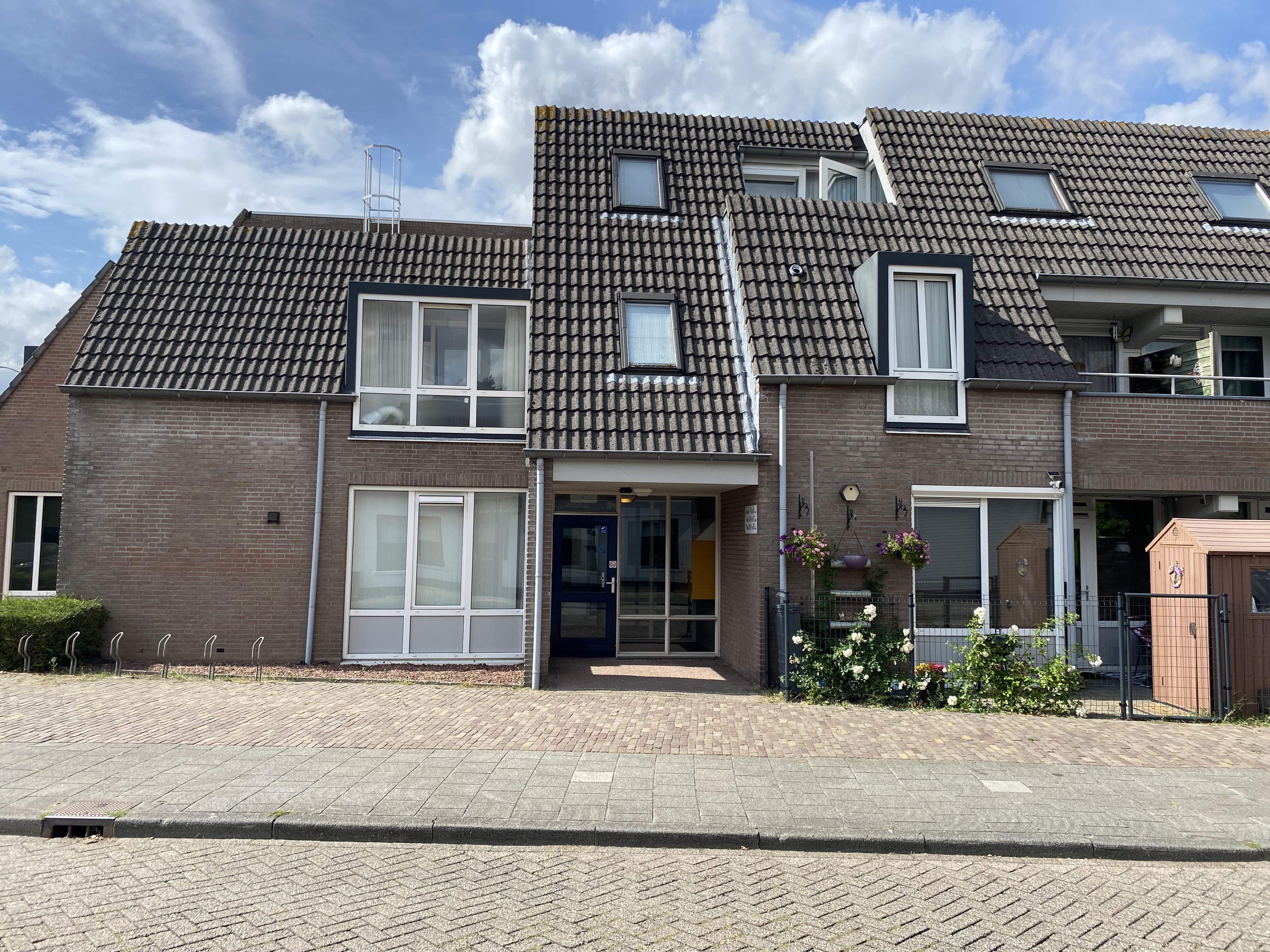 Afbeelding 2 van 8