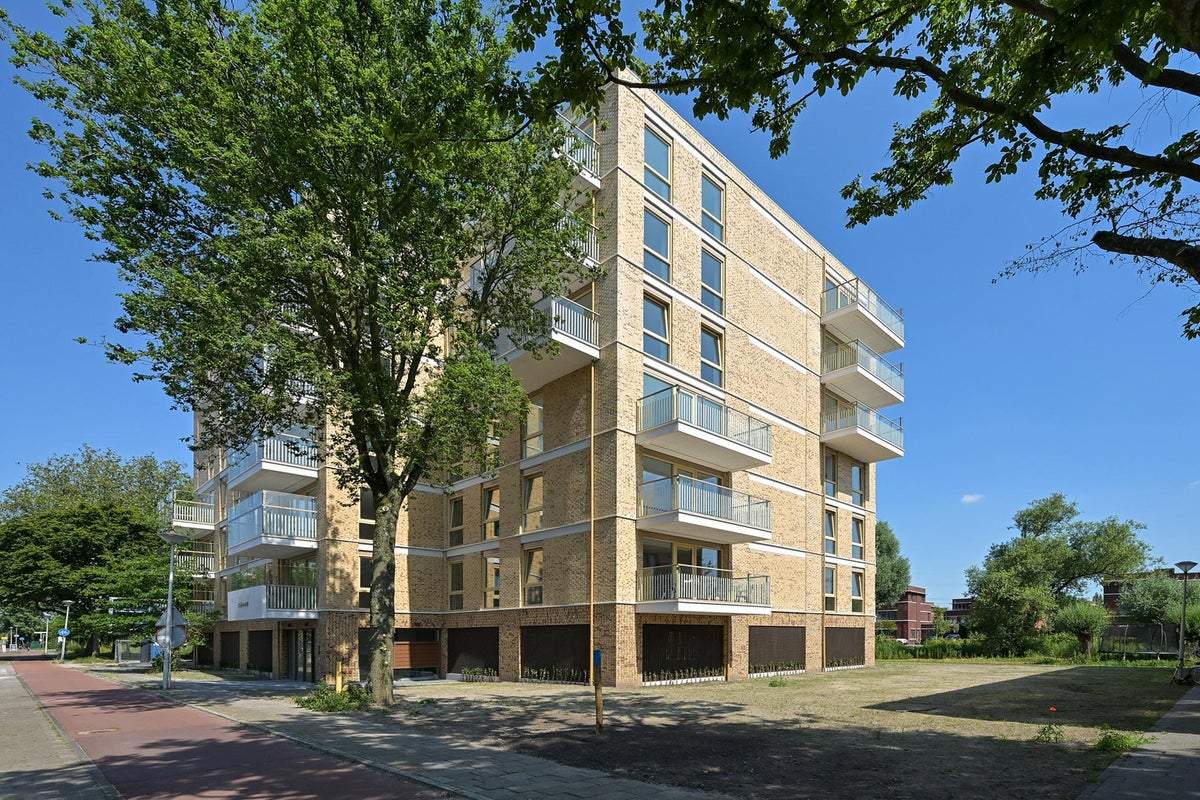 Afbeelding 1 van 21