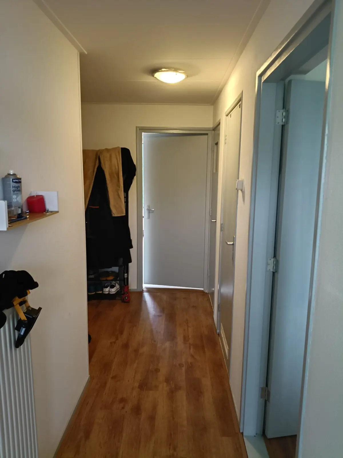 Bild 8 von 8
