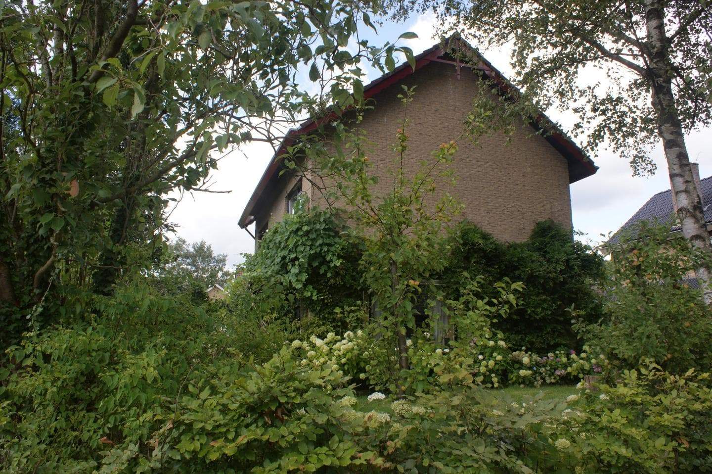 Image 8 of 9
