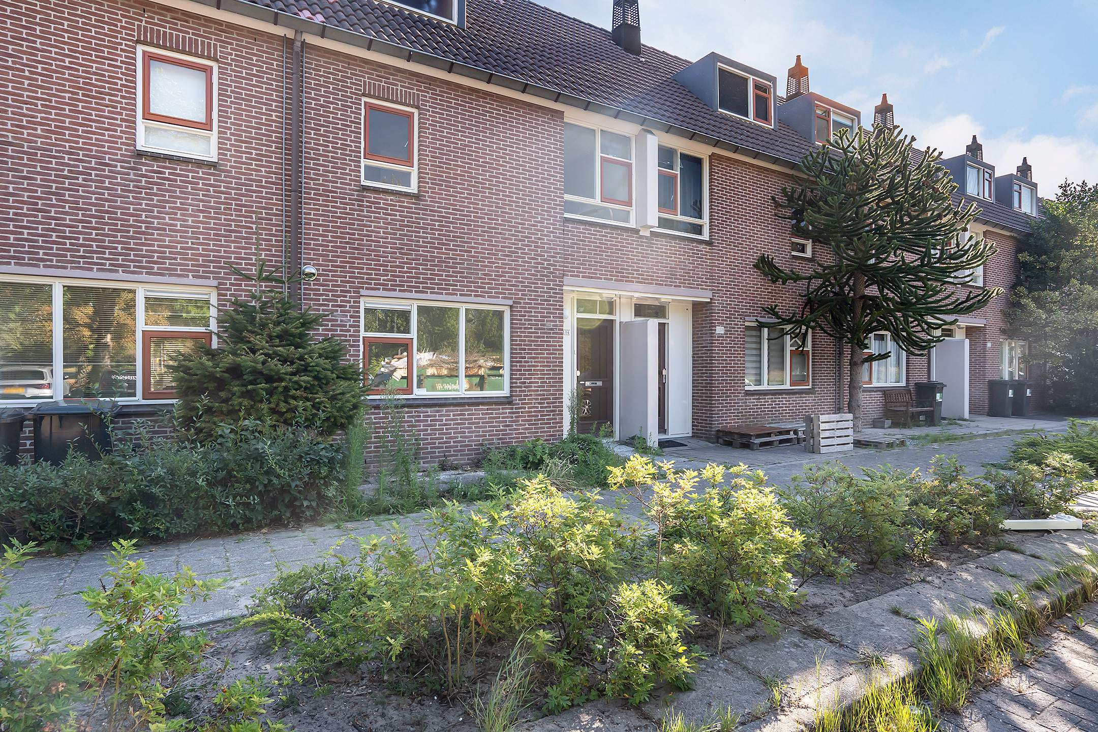 Afbeelding 1 van 37