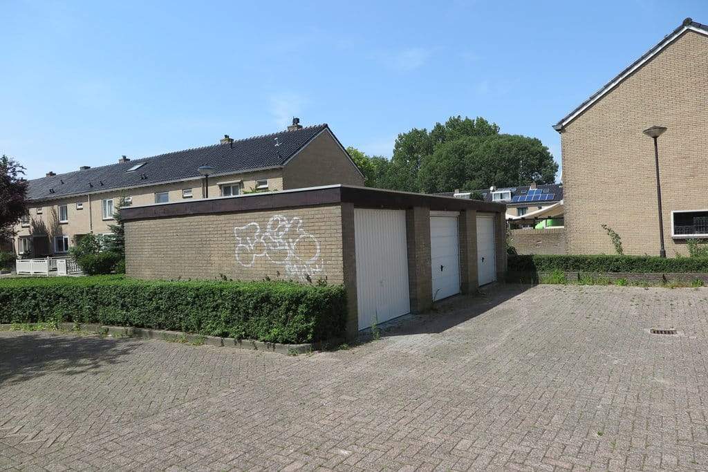 Afbeelding 3 van 9