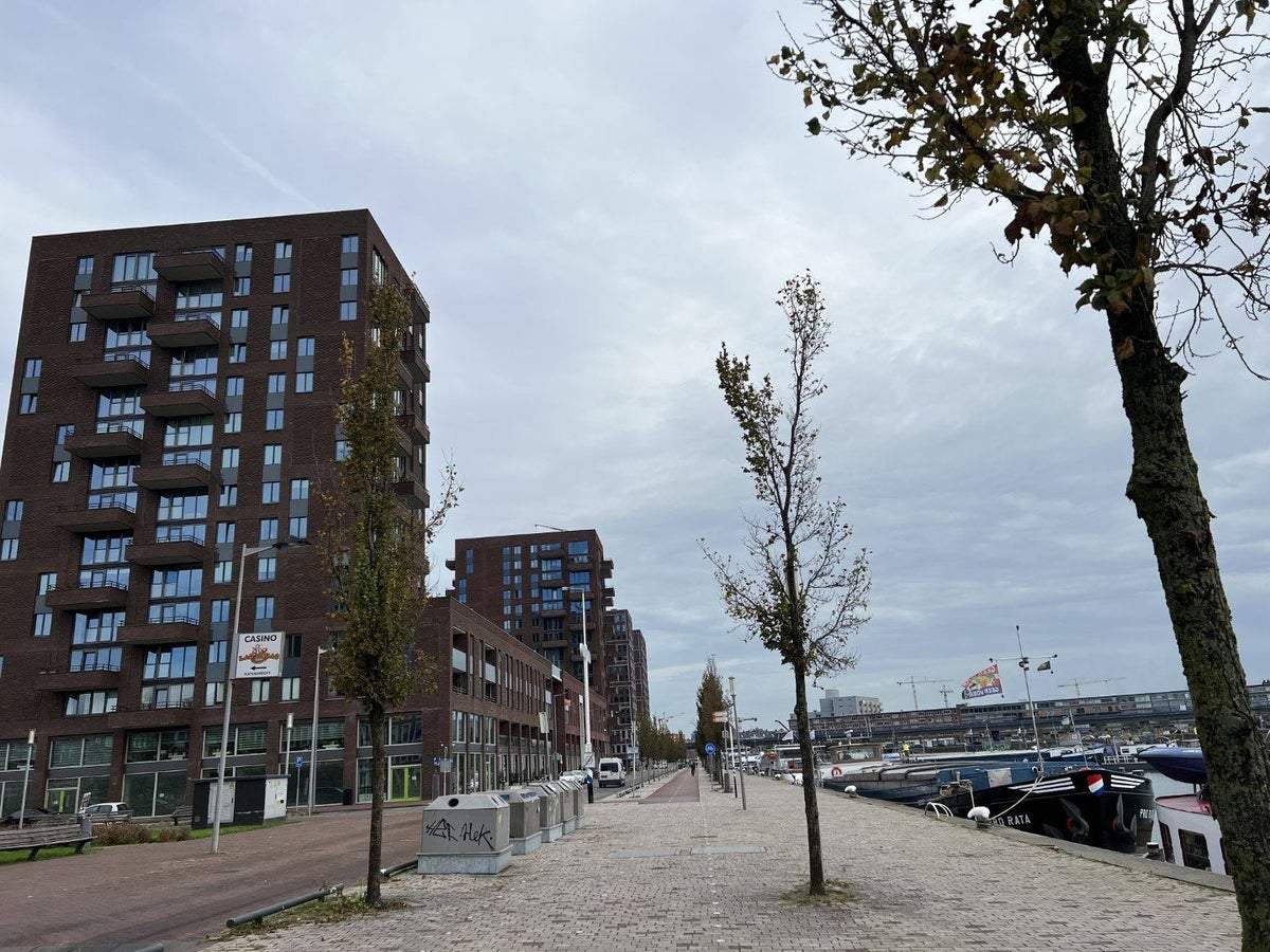 Afbeelding 2 van 25