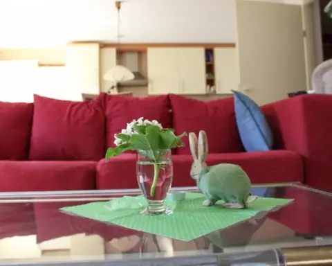 Apartamento amueblado en planta baja, Zuidsingel, Middelburg - En alquiler