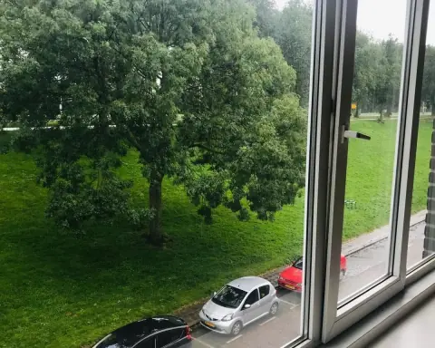 Habitación sin amueblar en Schiedamseweg Beneden, Róterdam - En alquiler