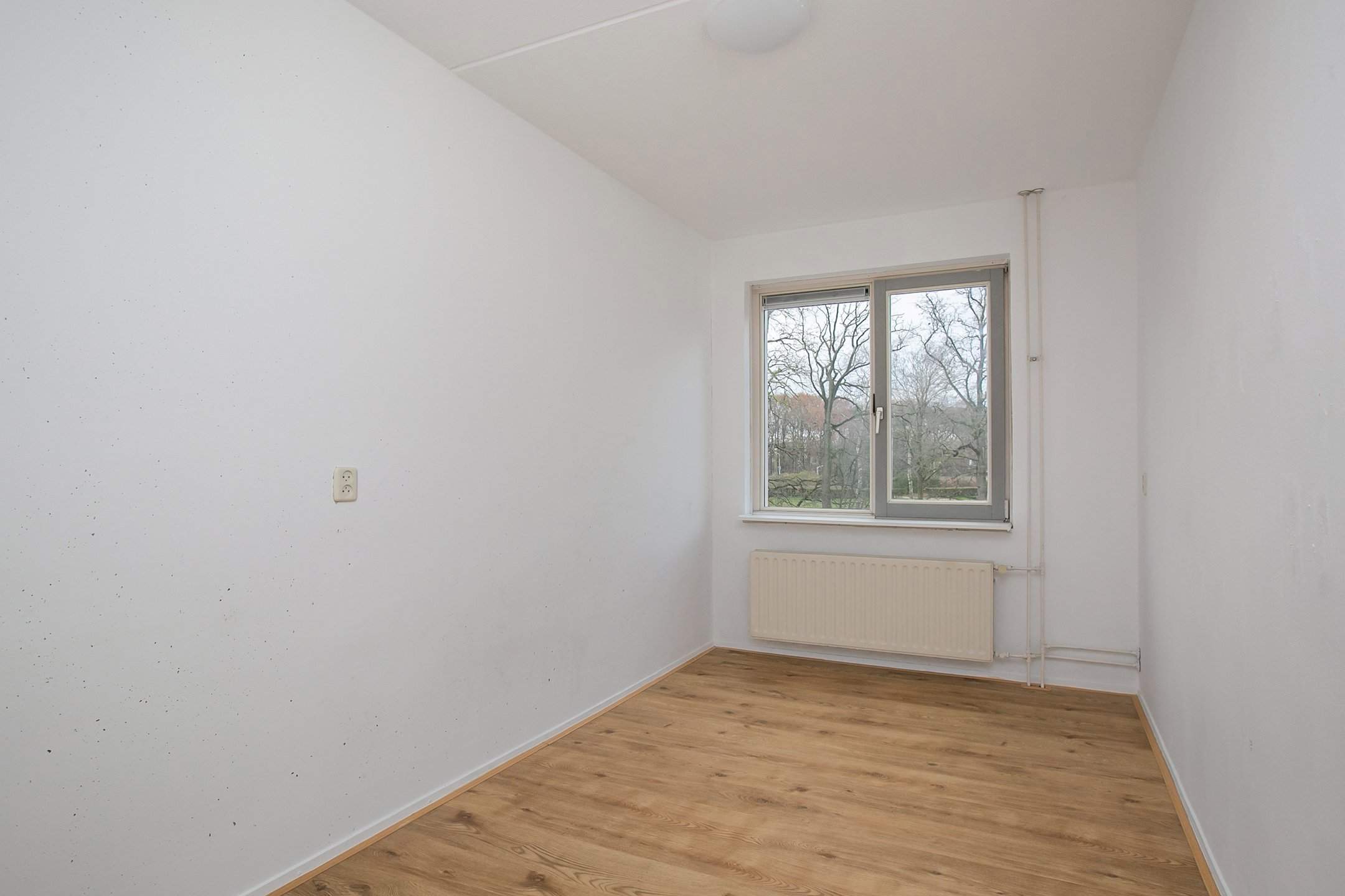 Bild 8 von 18