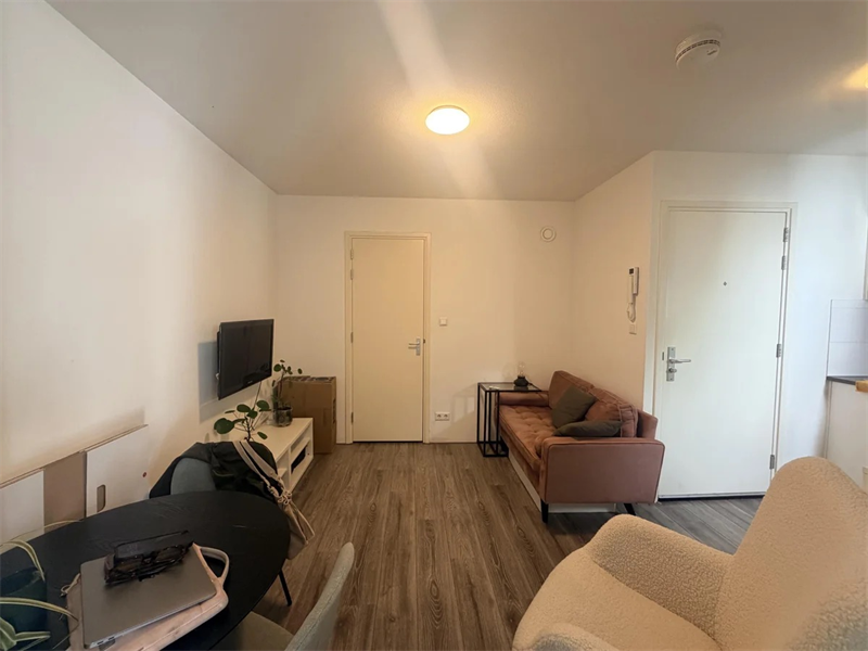 Image 2 of 13