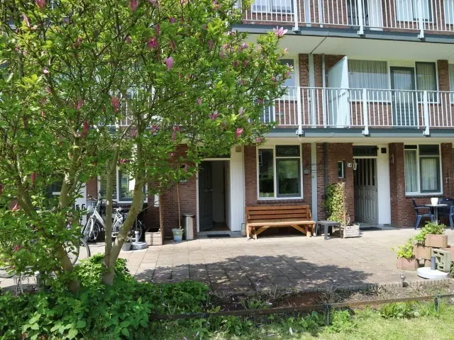 Image 1 of 24