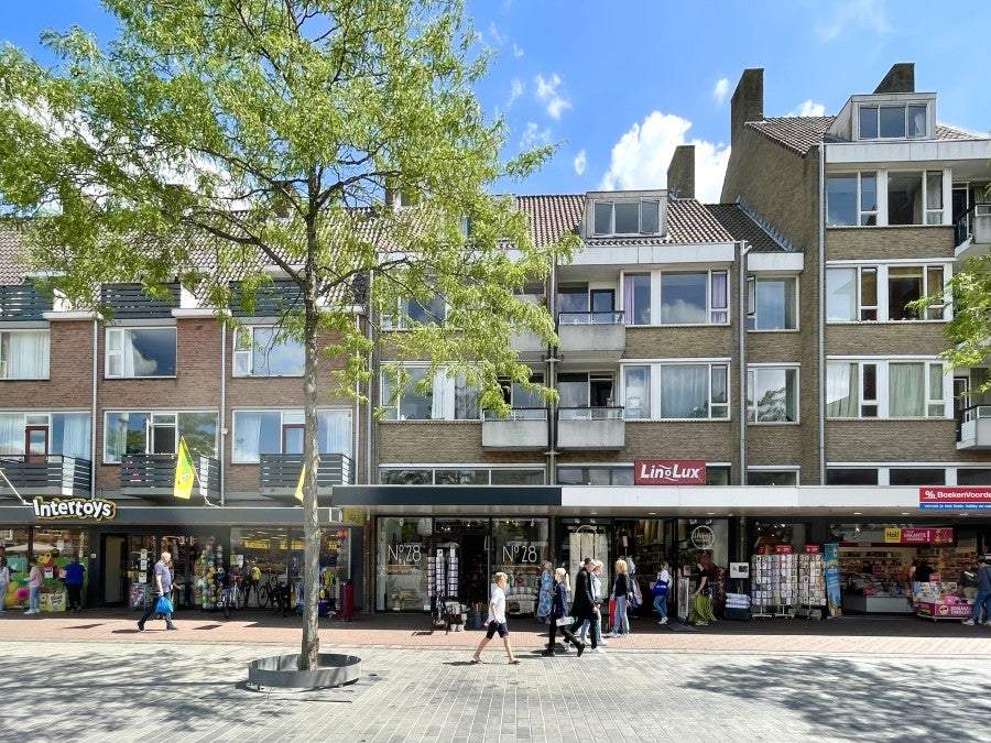 Afbeelding 1 van 19