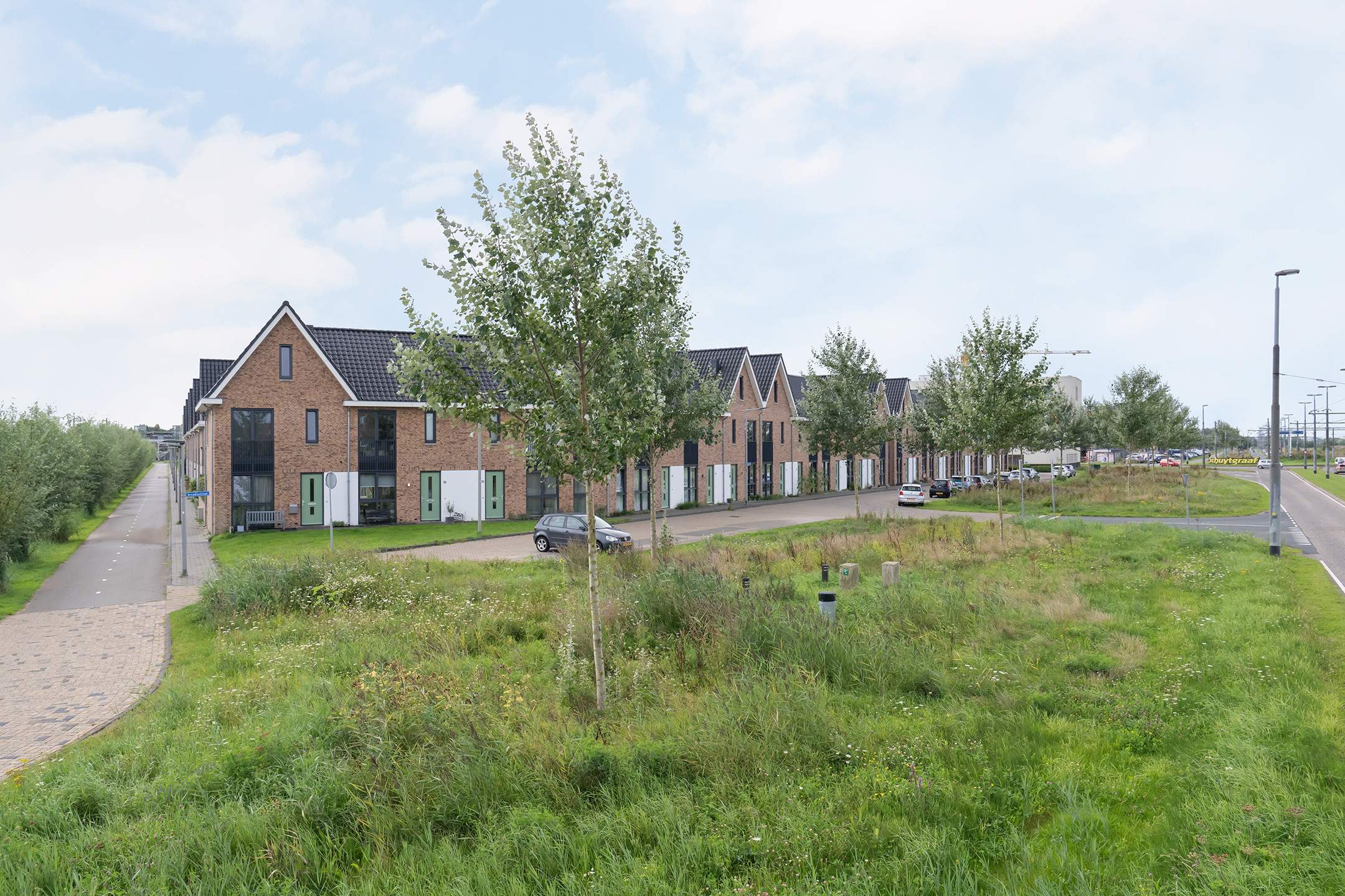 Afbeelding 3 van 25