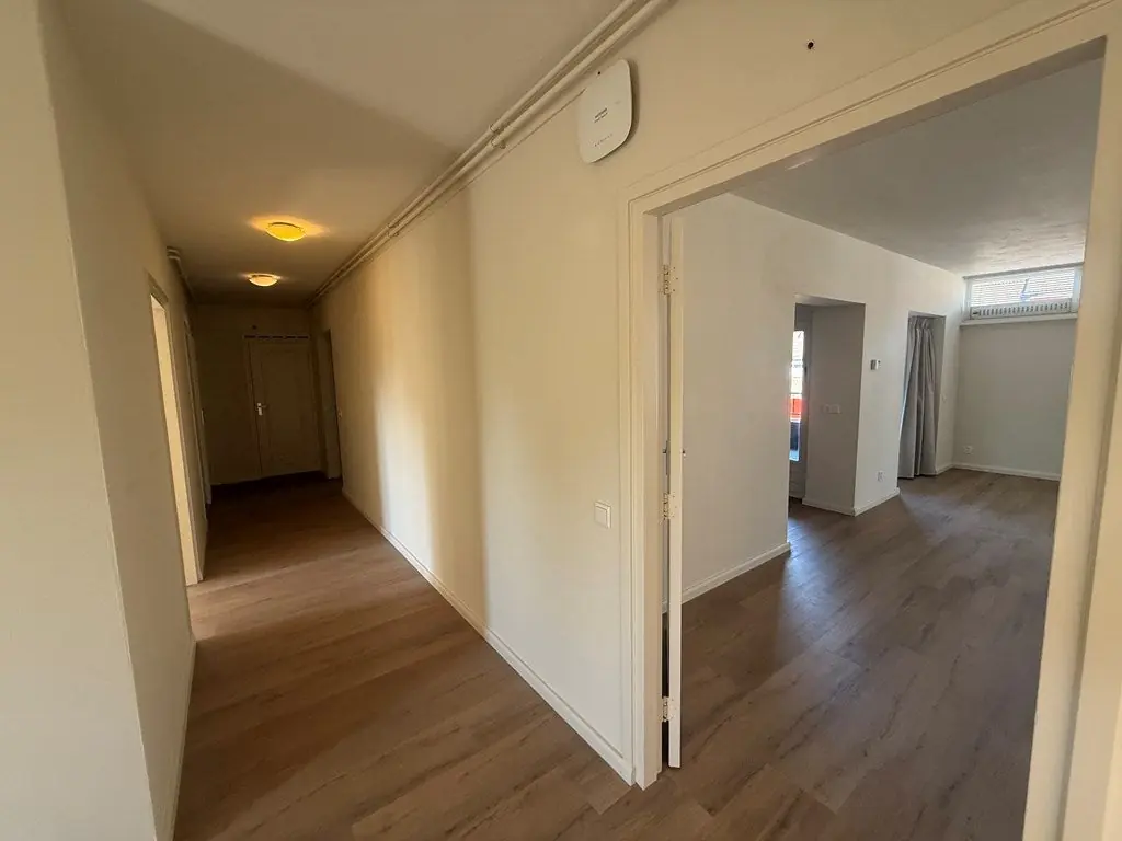 Image 2 of 17