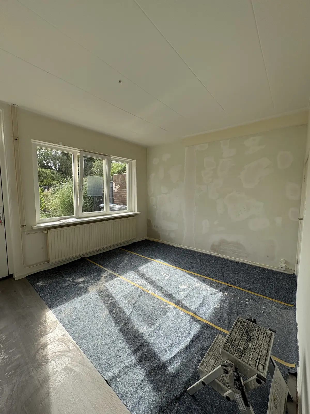 Image 4 of 12